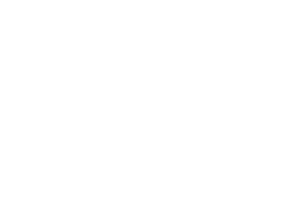 AUTO HỒNG PHÚC